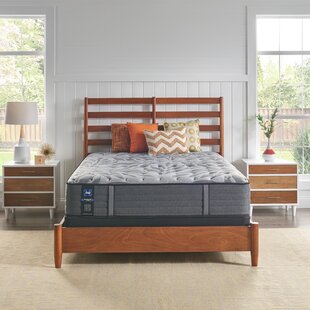 Sealy diego full deals mattress